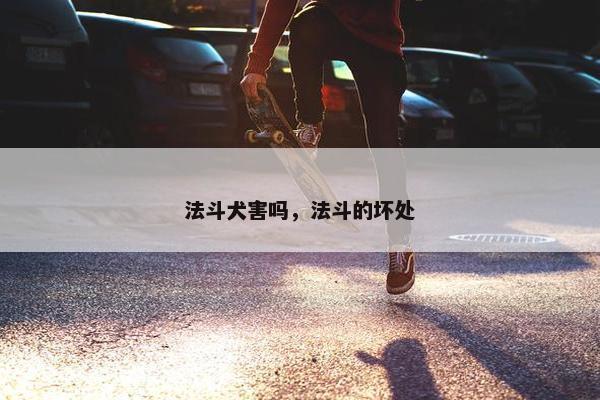 法斗犬害吗，法斗的坏处