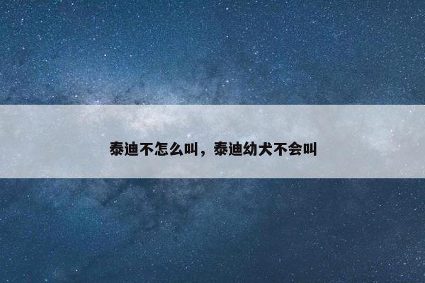泰迪不怎么叫，泰迪幼犬不会叫