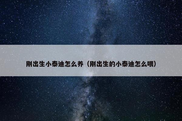 刚出生小泰迪怎么养（刚出生的小泰迪怎么喂）