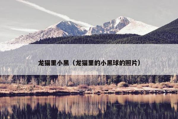 龙猫里小黑（龙猫里的小黑球的照片）