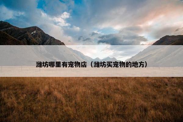 潍坊哪里有宠物店（潍坊买宠物的地方）