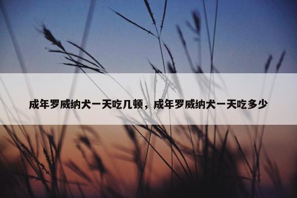 成年罗威纳犬一天吃几顿，成年罗威纳犬一天吃多少