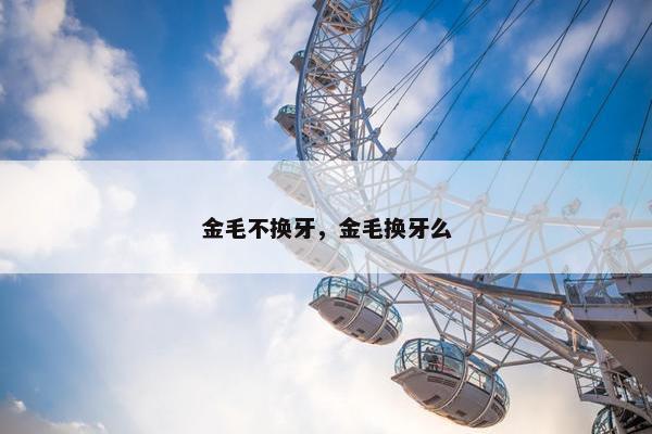 金毛不换牙，金毛换牙么