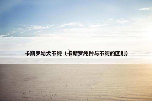 卡斯罗幼犬不纯（卡斯罗纯种与不纯的区别）