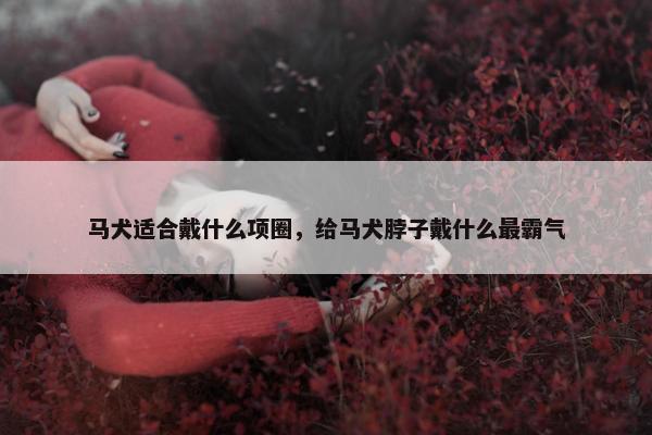 马犬适合戴什么项圈，给马犬脖子戴什么最霸气