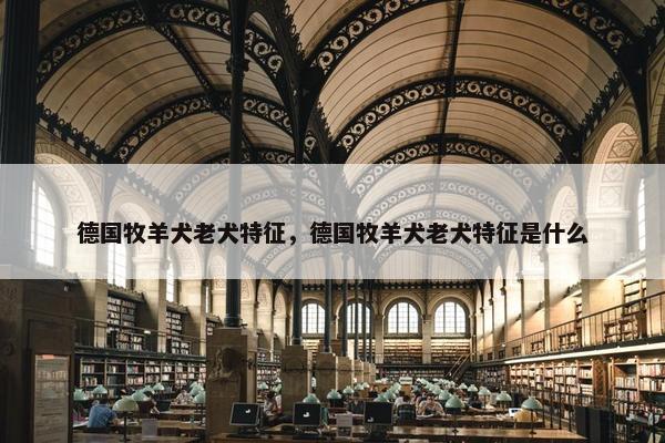 德国牧羊犬老犬特征，德国牧羊犬老犬特征是什么