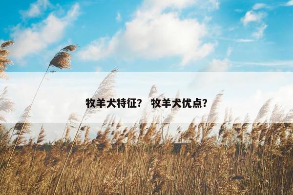牧羊犬特征？ 牧羊犬优点？