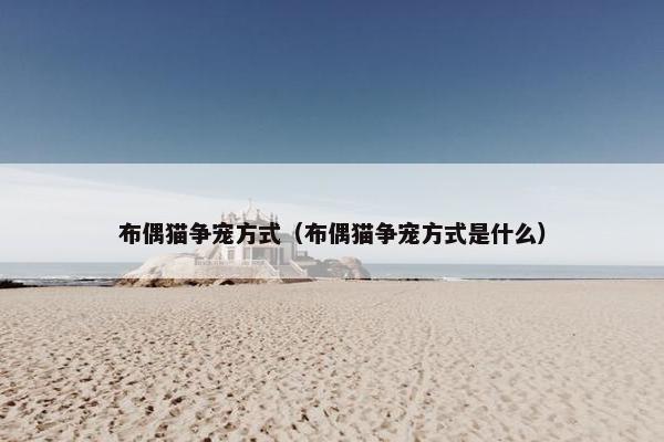 布偶猫争宠方式（布偶猫争宠方式是什么）