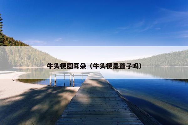 牛头梗圆耳朵（牛头梗是聋子吗）