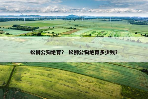 松狮公狗绝育？ 松狮公狗绝育多少钱？