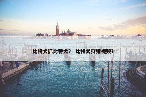比特犬抓比特犬？ 比特犬狩猎视频？