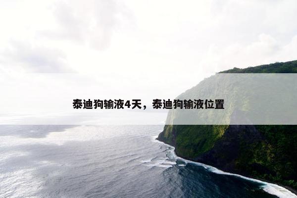 泰迪狗输液4天，泰迪狗输液位置