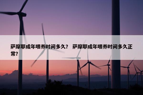 萨摩耶成年喂养时间多久？ 萨摩耶成年喂养时间多久正常？