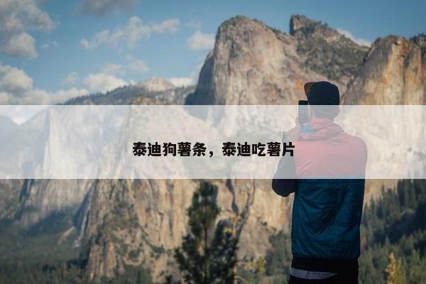 泰迪狗薯条，泰迪吃薯片