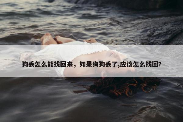 狗丢怎么能找回来，如果狗狗丢了,应该怎么找回?