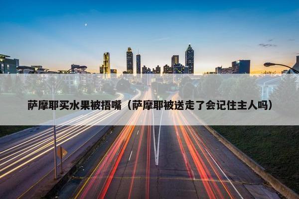 萨摩耶买水果被捂嘴（萨摩耶被送走了会记住主人吗）