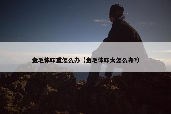 金毛体味重怎么办（金毛体味大怎么办?）
