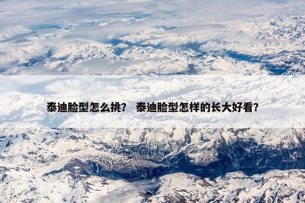 泰迪脸型怎么挑？ 泰迪脸型怎样的长大好看？
