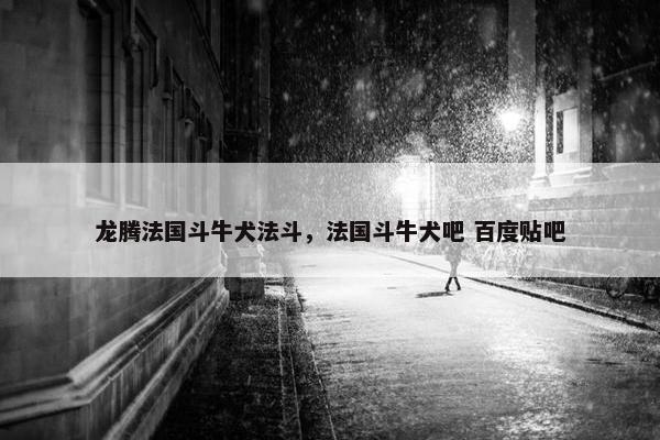 龙腾法国斗牛犬法斗，法国斗牛犬吧 百度贴吧