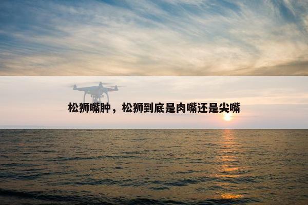 松狮嘴肿，松狮到底是肉嘴还是尖嘴