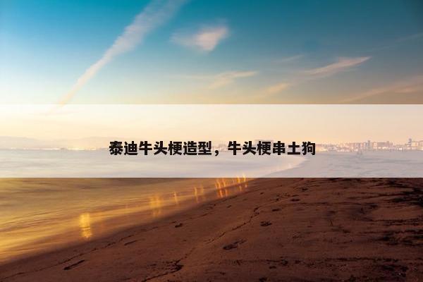 泰迪牛头梗造型，牛头梗串土狗