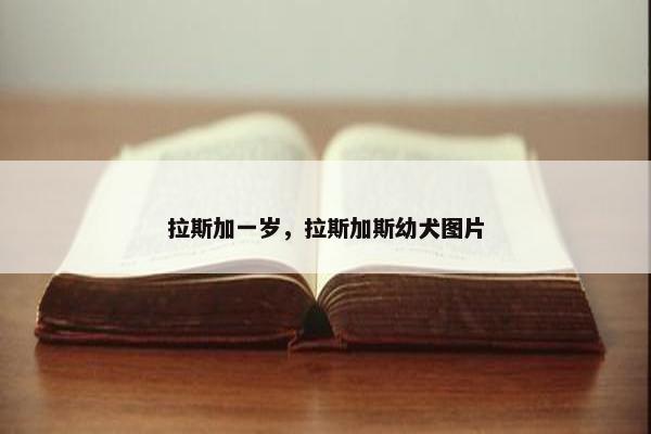拉斯加一岁，拉斯加斯幼犬图片