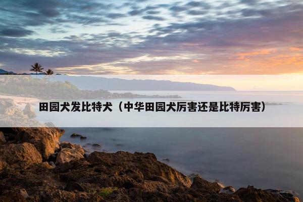 田园犬发比特犬（中华田园犬厉害还是比特厉害）