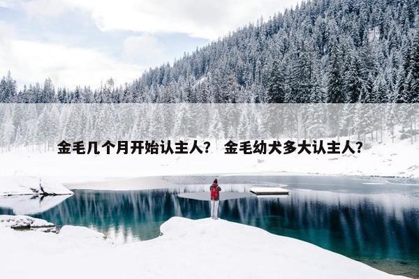 金毛几个月开始认主人？ 金毛幼犬多大认主人？