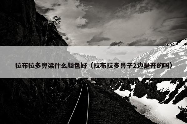 拉布拉多鼻梁什么颜色好（拉布拉多鼻子2边是开的吗）