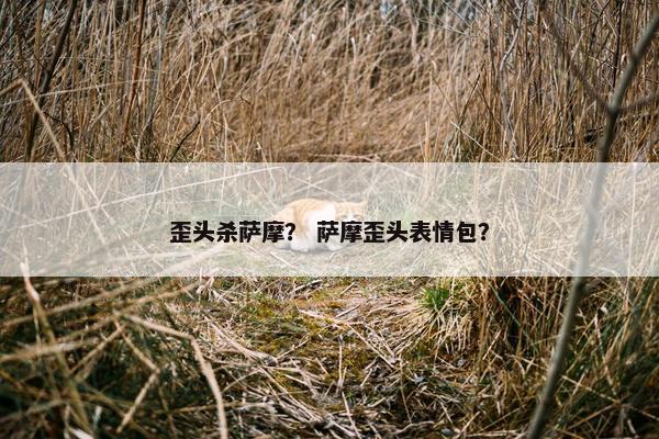 歪头杀萨摩？ 萨摩歪头表情包？
