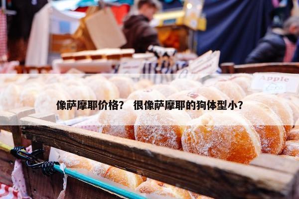 像萨摩耶价格？ 很像萨摩耶的狗体型小？