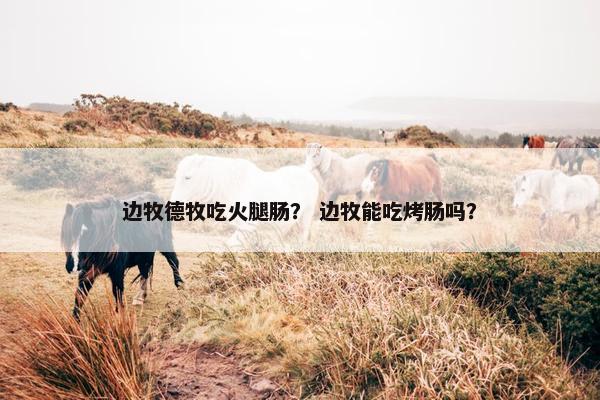 边牧德牧吃火腿肠？ 边牧能吃烤肠吗？