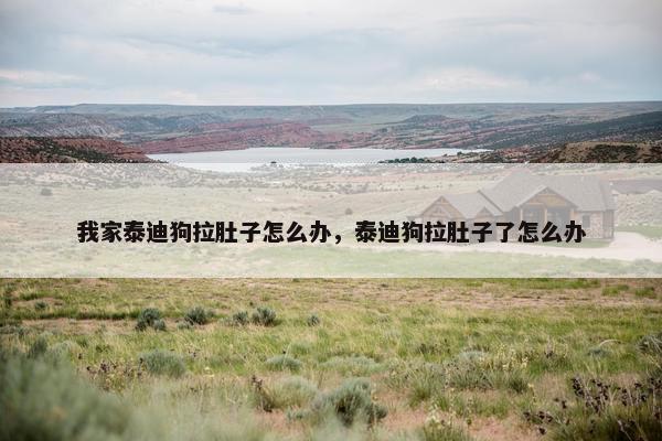 我家泰迪狗拉肚子怎么办，泰迪狗拉肚子了怎么办