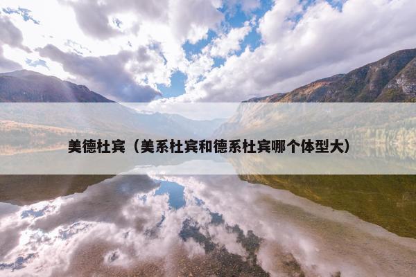 美德杜宾（美系杜宾和德系杜宾哪个体型大）