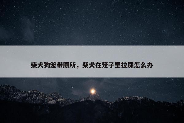 柴犬狗笼带厕所，柴犬在笼子里拉屎怎么办