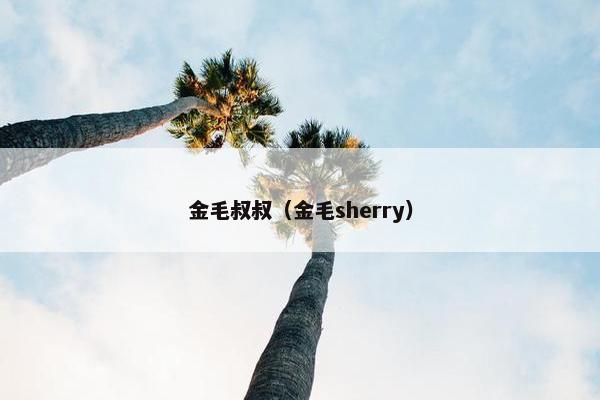 金毛叔叔（金毛sherry）