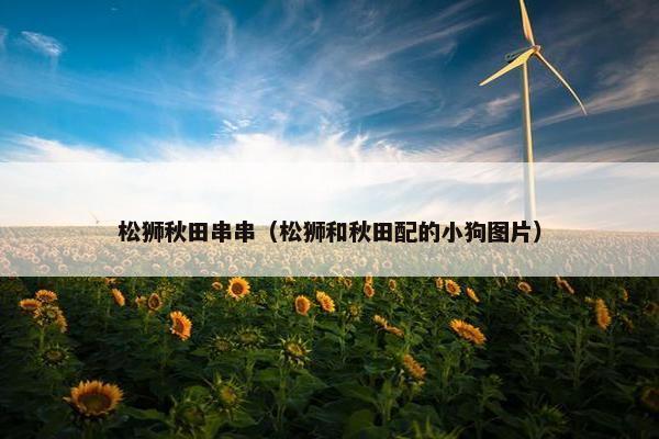 松狮秋田串串（松狮和秋田配的小狗图片）