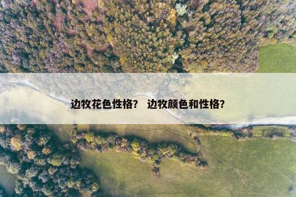 边牧花色性格？ 边牧颜色和性格？