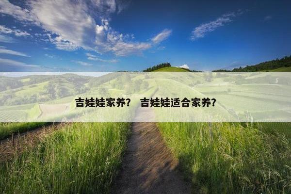 吉娃娃家养？ 吉娃娃适合家养？