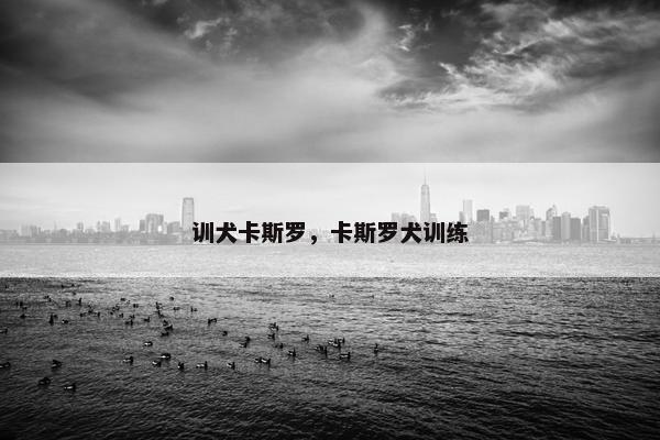 训犬卡斯罗，卡斯罗犬训练