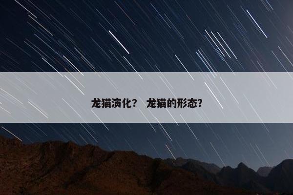 豪猪