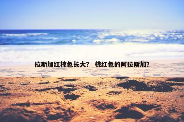 拉斯加红棕色长大？ 棕红色的阿拉斯加？