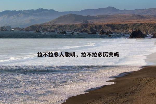 拉不拉多人聪明，拉不拉多厉害吗