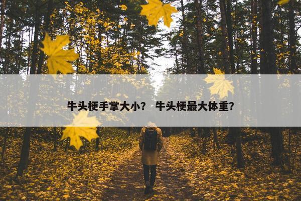 牛头梗手掌大小？ 牛头梗最大体重？