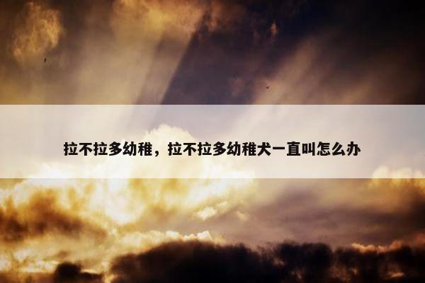 拉不拉多幼稚，拉不拉多幼稚犬一直叫怎么办