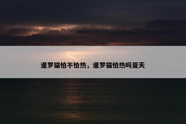 暹罗猫怕不怕热，暹罗猫怕热吗夏天