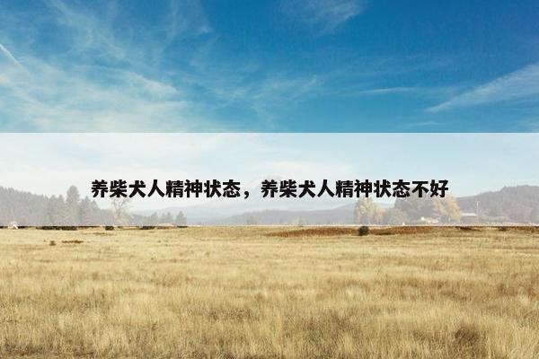 养柴犬人精神状态，养柴犬人精神状态不好