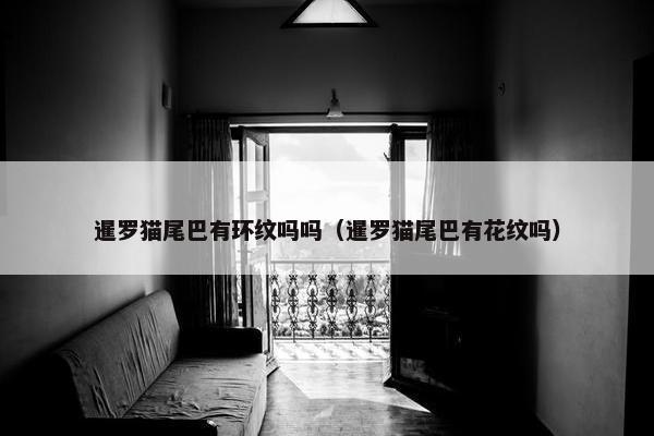 暹罗猫尾巴有环纹吗吗（暹罗猫尾巴有花纹吗）