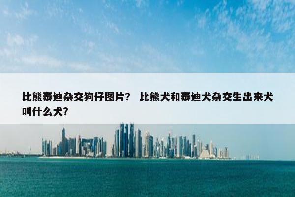 比熊泰迪杂交狗仔图片？ 比熊犬和泰迪犬杂交生出来犬叫什么犬？
