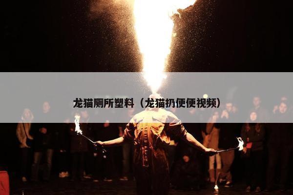 龙猫厕所塑料（龙猫扔便便视频）